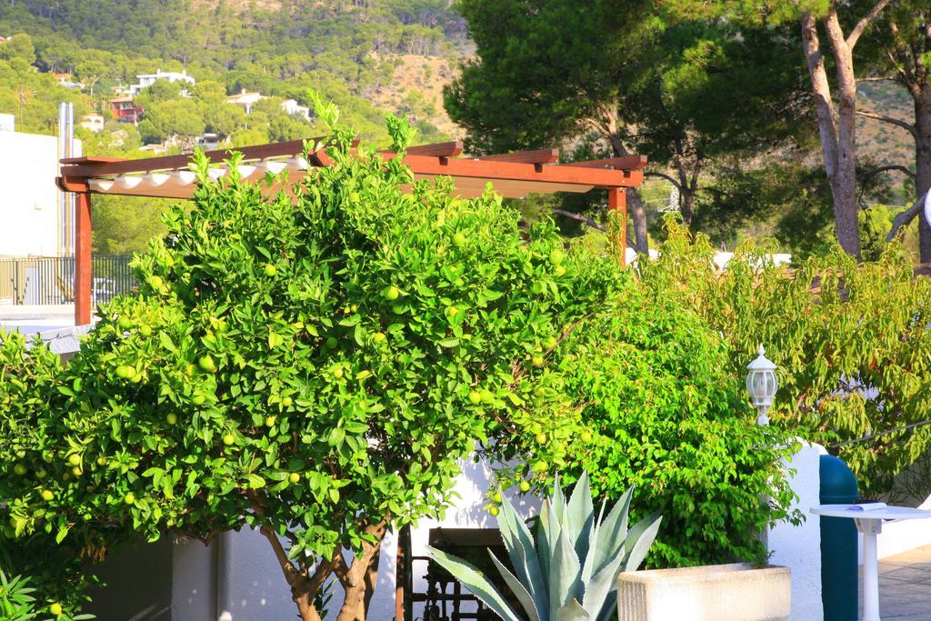 Villa Columbus Family Boutique Hotel باغيرا المظهر الخارجي الصورة